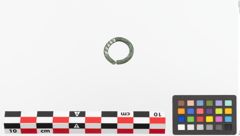 Foto von Bronzering (NHMW-PRAE-023727)